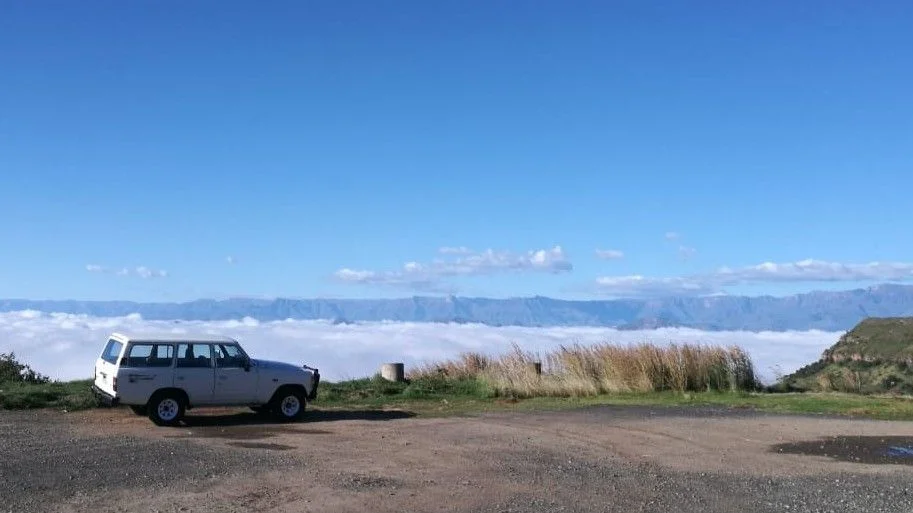 Nellie in the Berg.webp