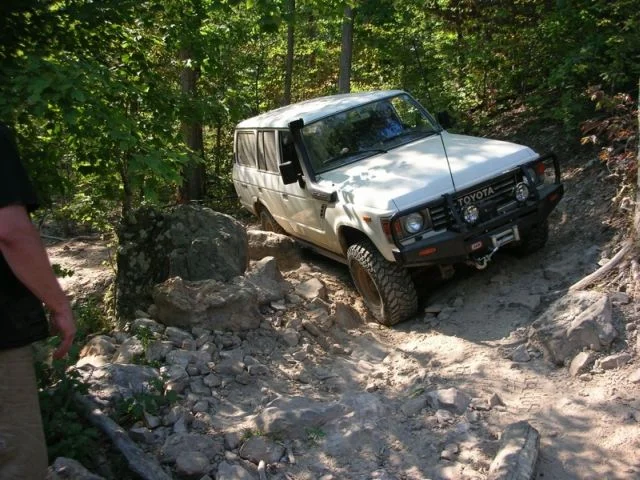 new arb.webp