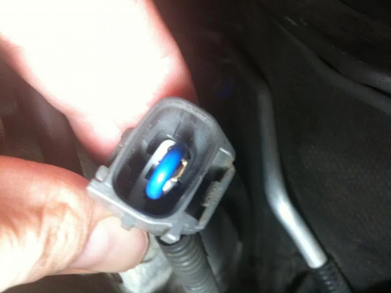New Plug.webp
