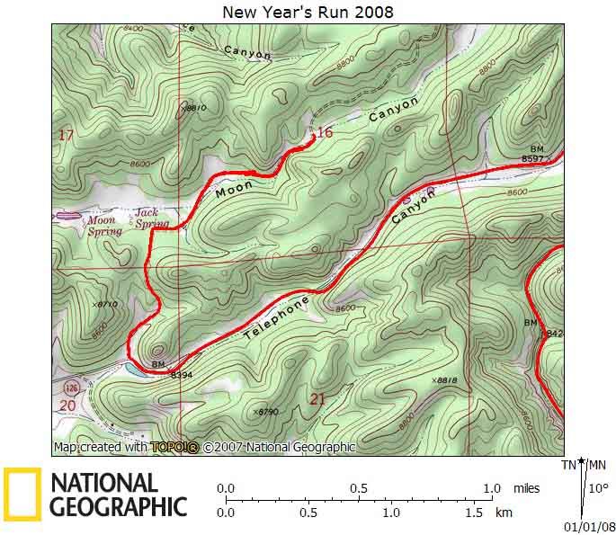 newyearsrun2008_sm.jpg