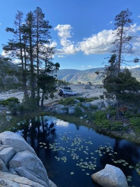 Nice shot.JPG