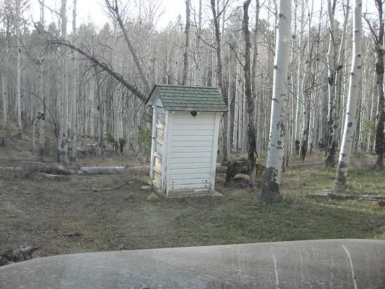 nicks_spot.webp