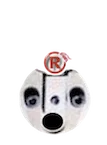  no back ..5_x-y_R 15.19.39##.png