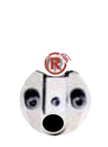  no back ..5_x-y_R 15.19.39.png