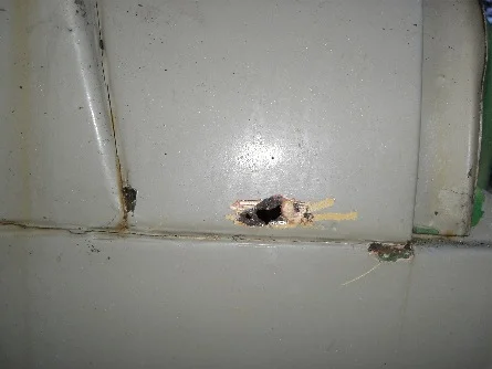 no bondo4-small.webp