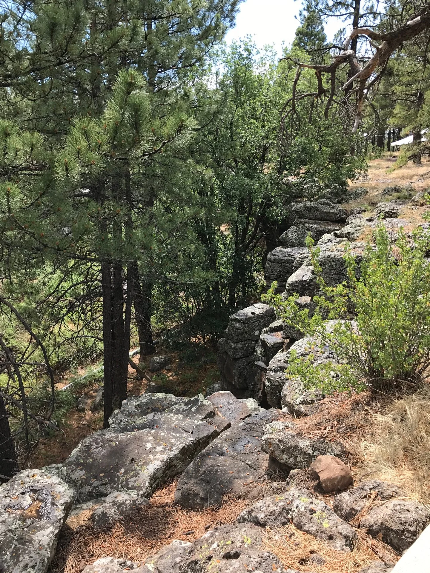Northern AZ .jpg
