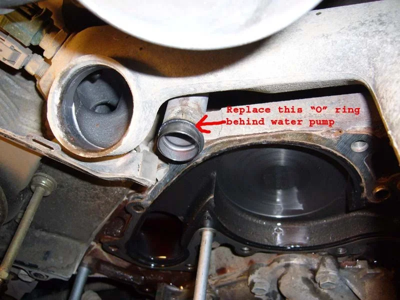 O ring pic behind water pump.webp