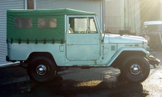 odd green.webp
