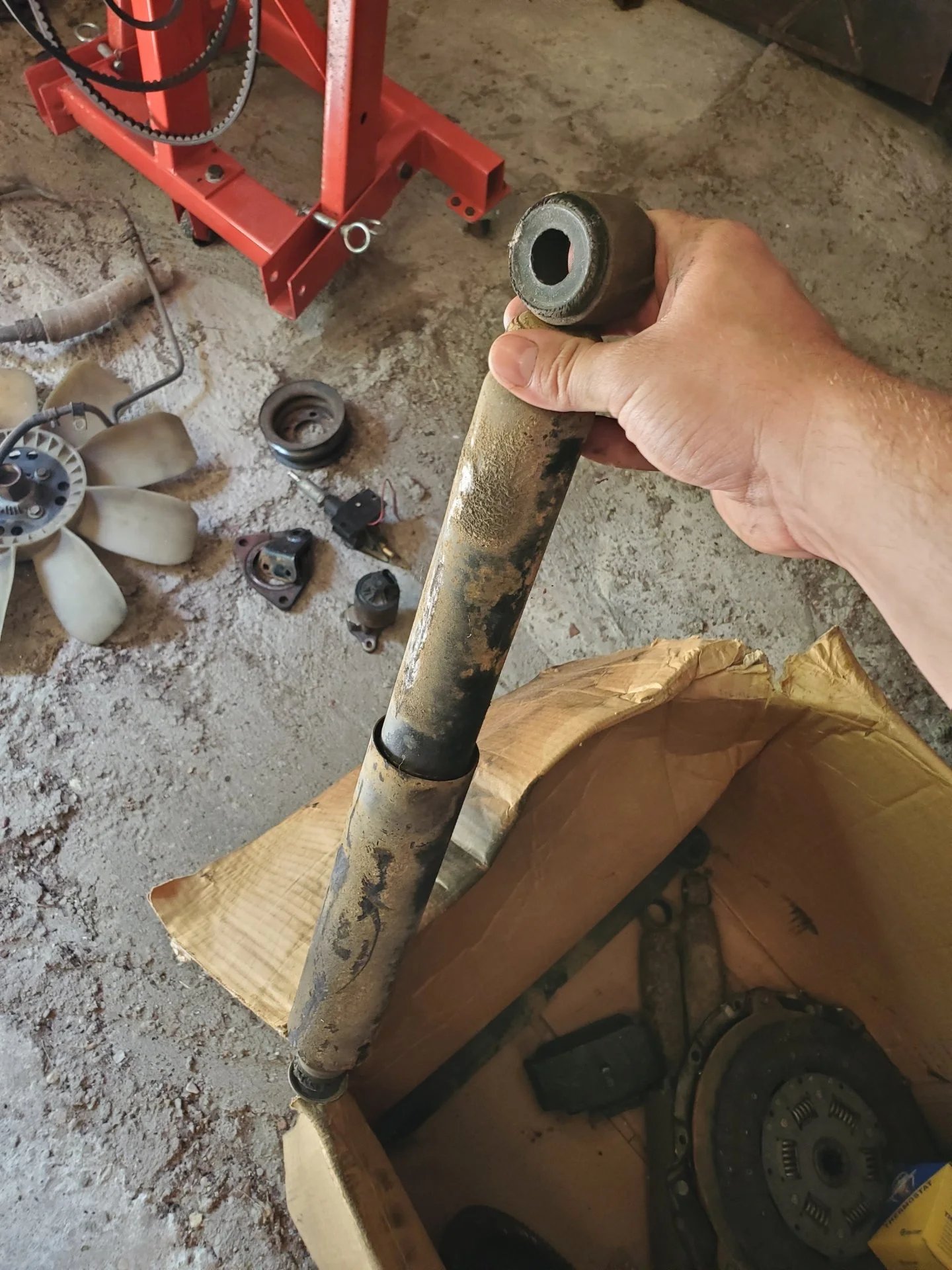 OEM shocks.webp