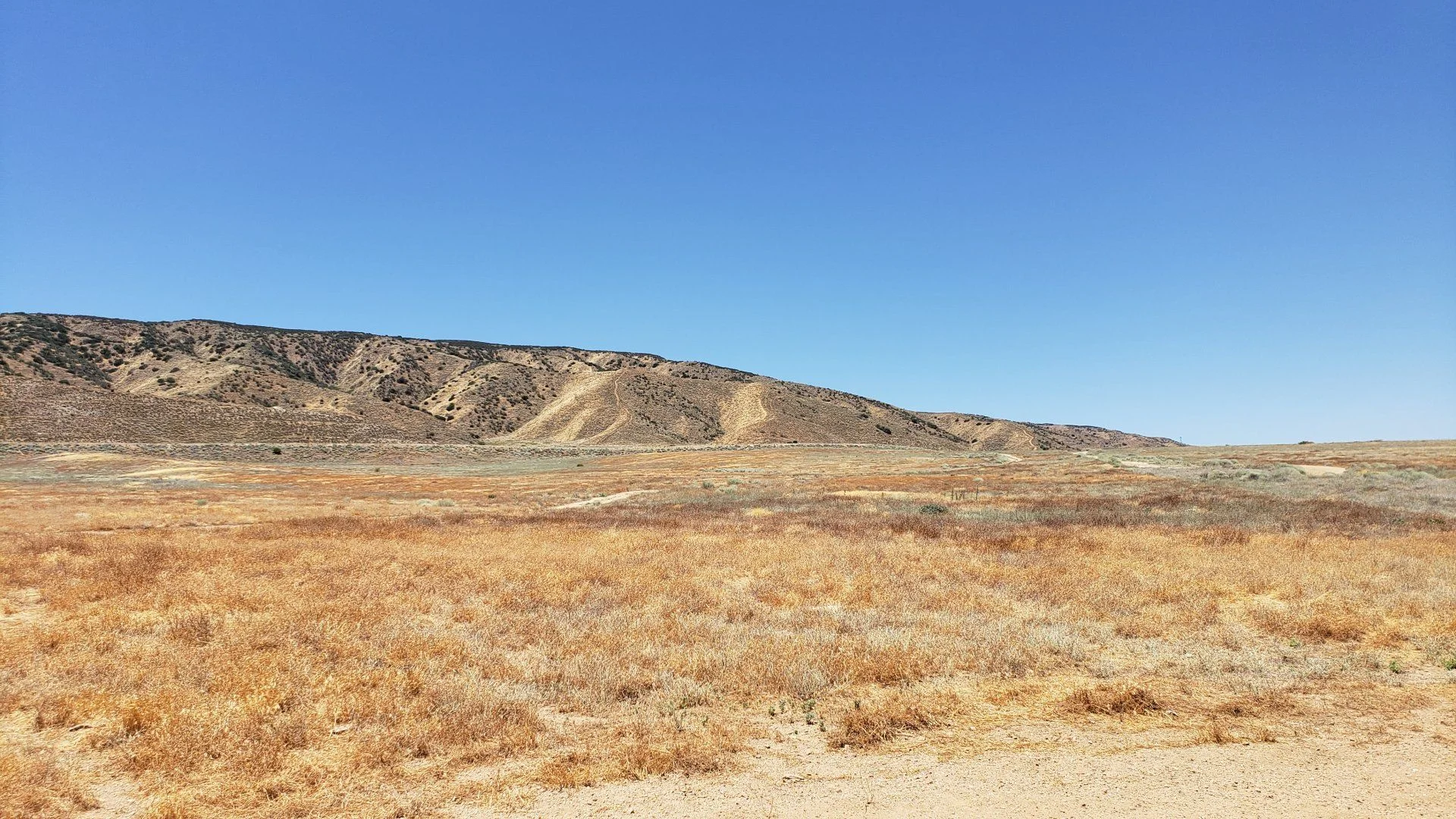 OffroadAV006.webp