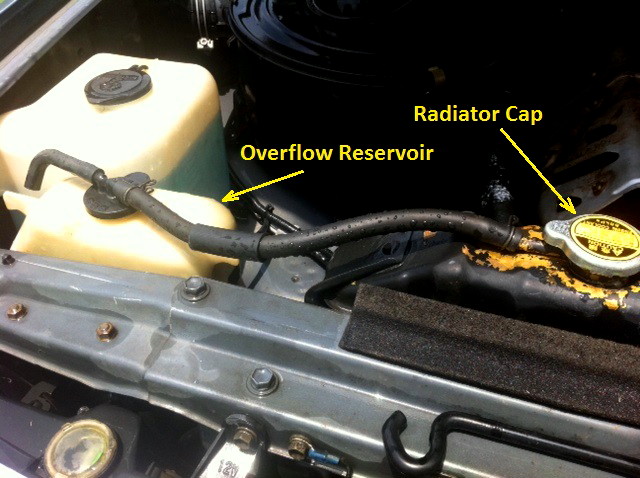 OFR1.jpg
