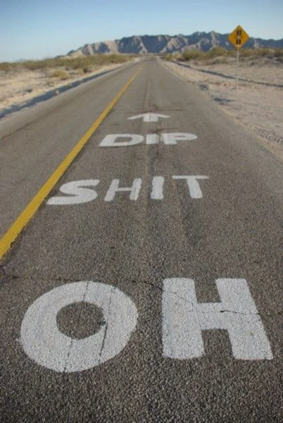 ohshitdip.webp