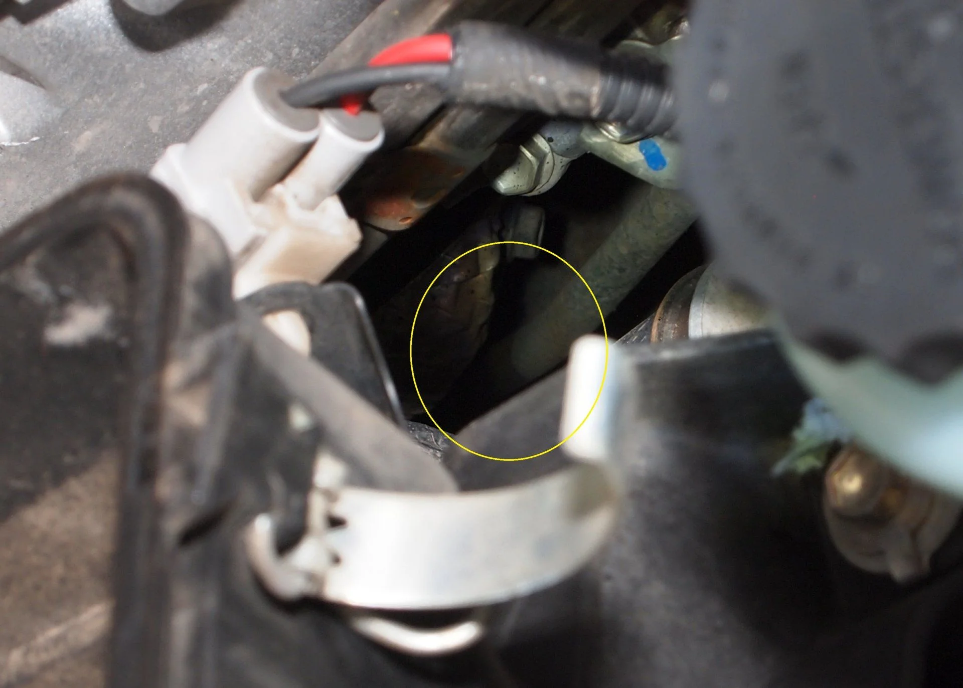 Oil dipstick (1) zoom.webp