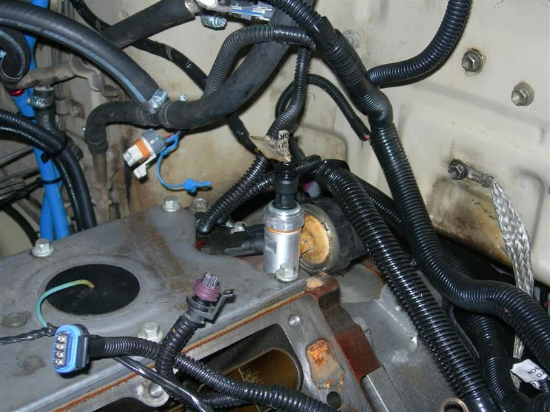 oil [ress in (Medium).webp