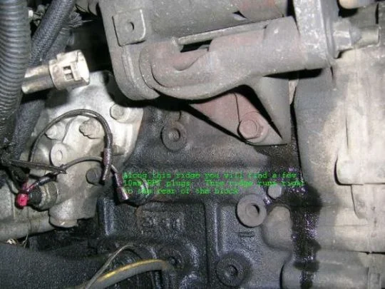 Oil.webp
