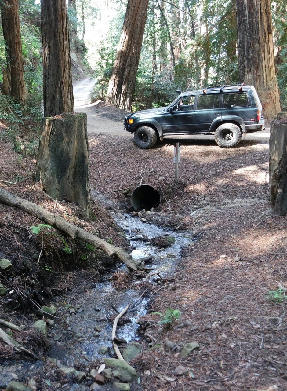 Old coasst road 1.webp