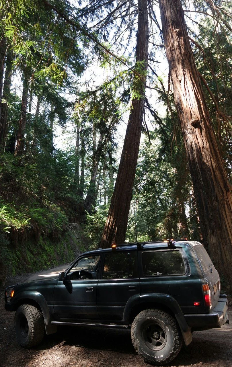 Old coast road.webp