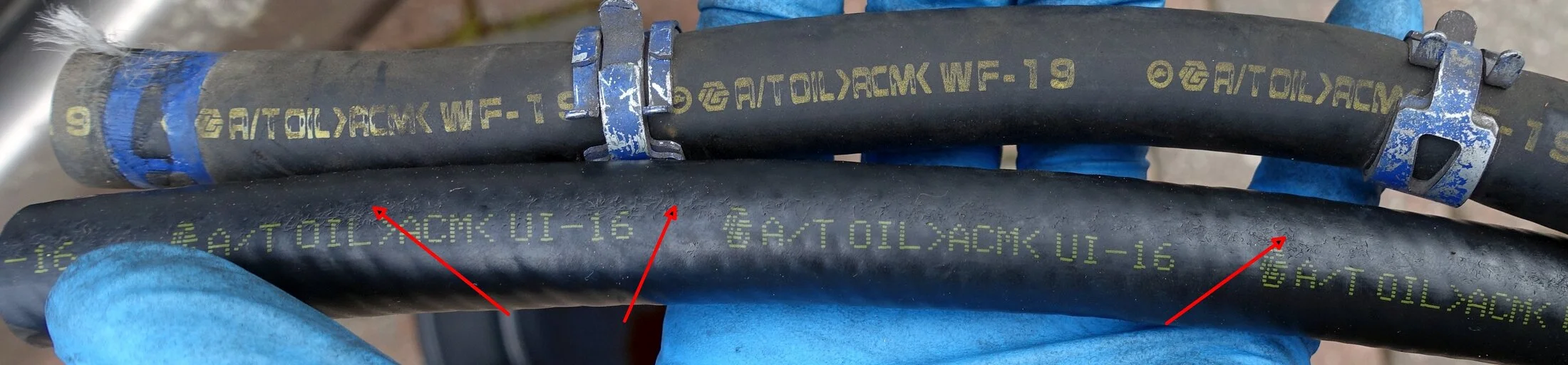 Old Hose VS Online Seller.webp