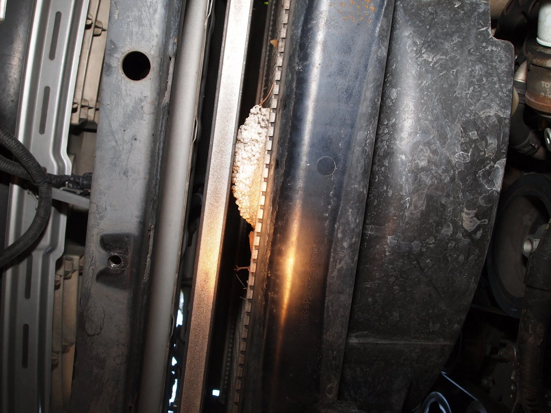 Old Radiator (6).webp