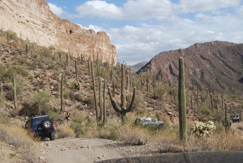 on trail.webp