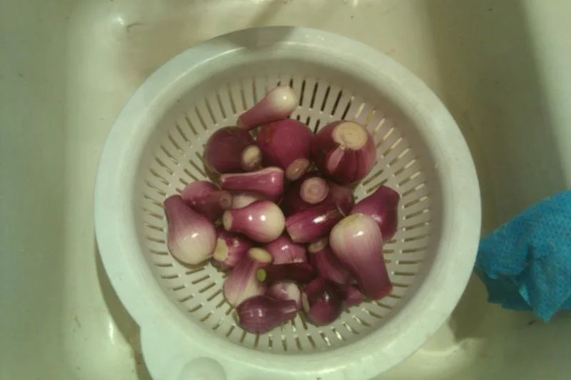Onions.webp