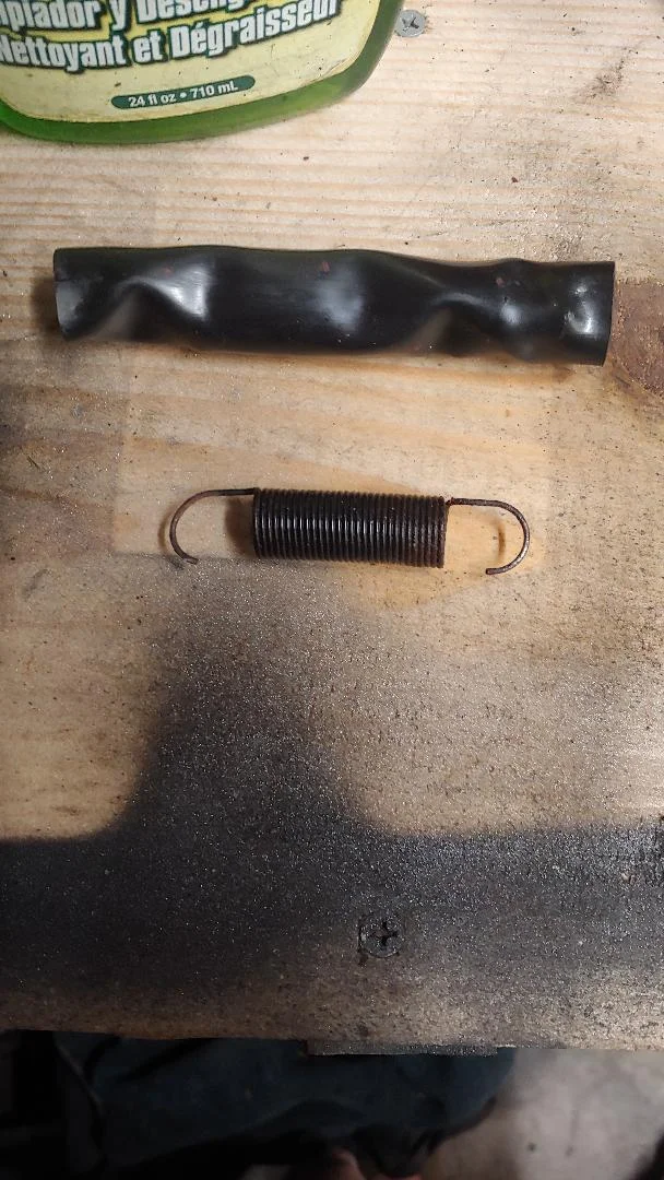 open worm spring.jpg