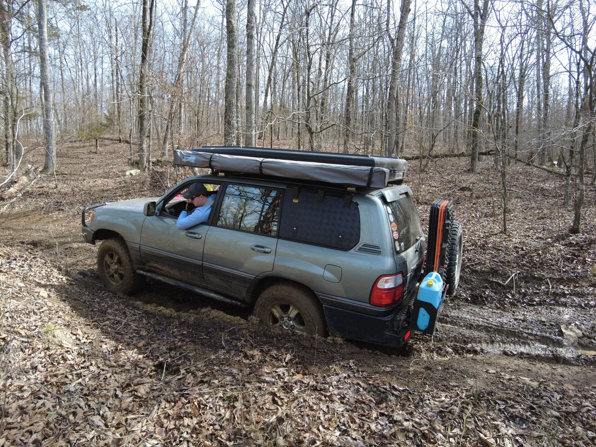 org_photo_6554122_1676830938000.webp