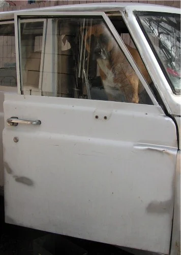 original door.webp