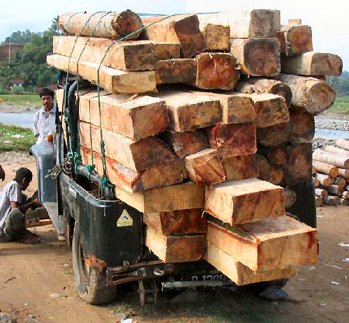 Overloaded.jpg