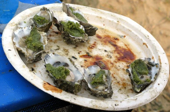 Oysters81.webp