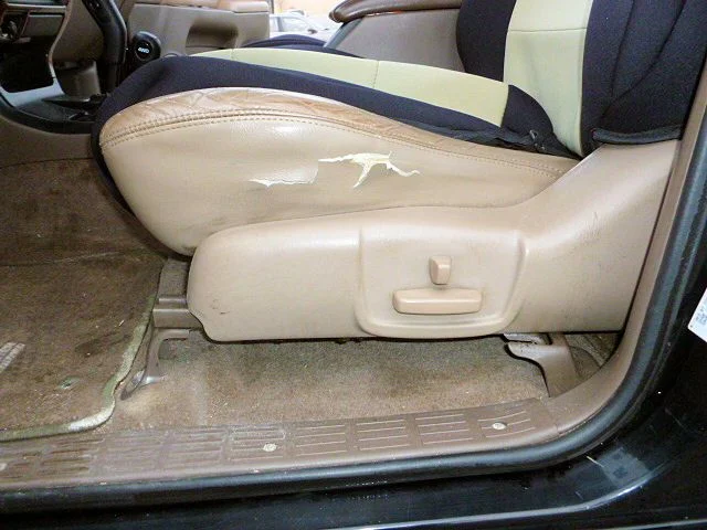 P1000023.webp