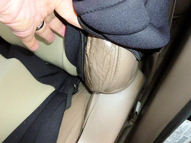 P1000024.webp