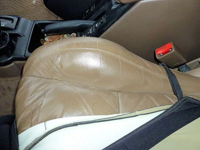 P1000025.webp