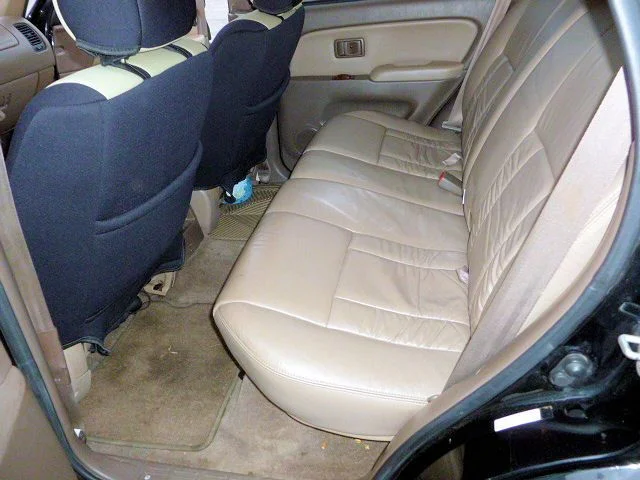 P1000033.webp