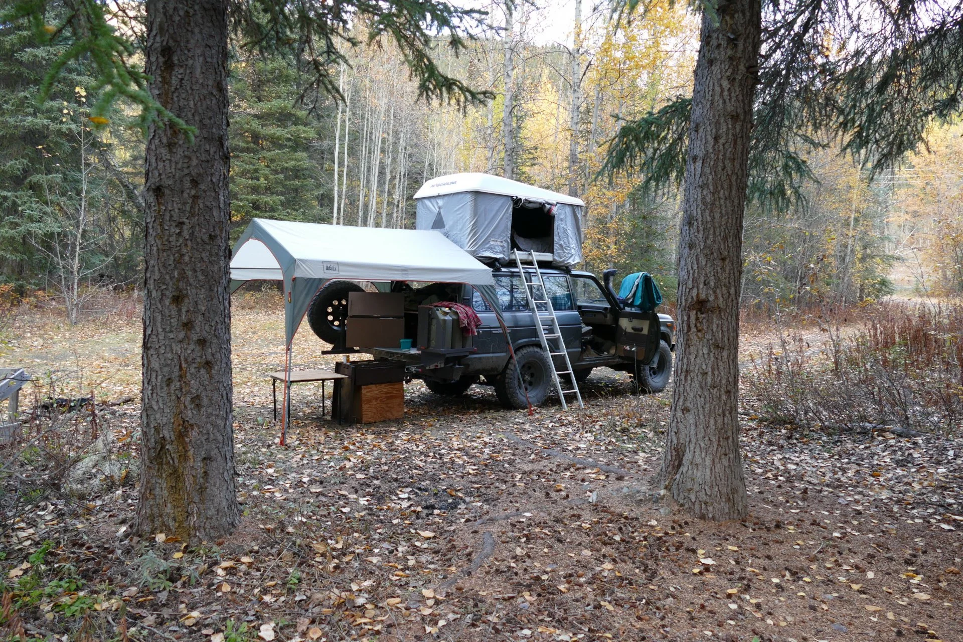 P1000131.JPG