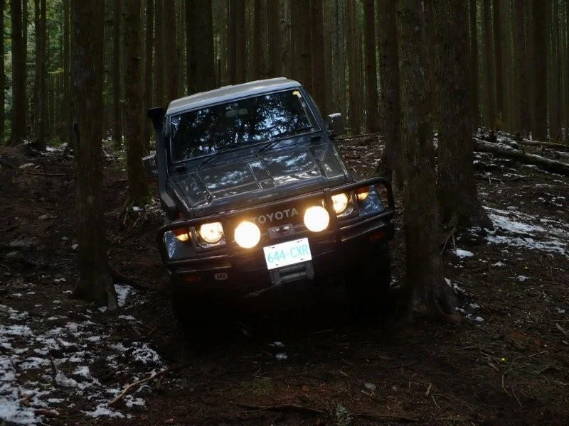 P1000570.webp