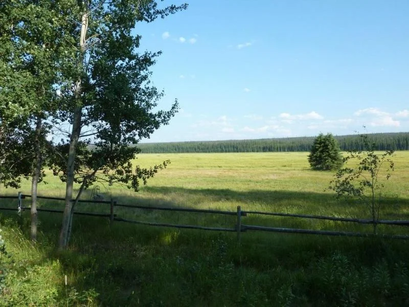 P1000818.webp