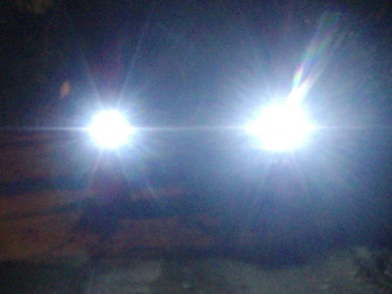 P1010010.webp