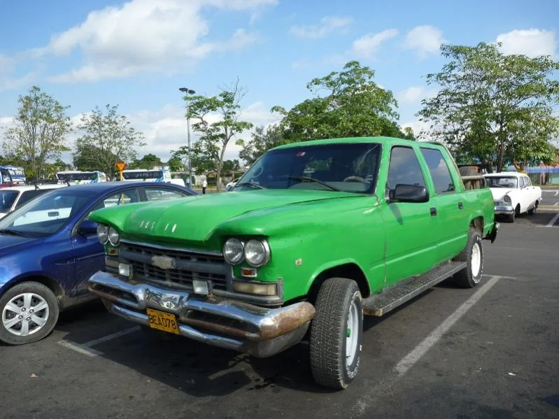 P1010080a.webp