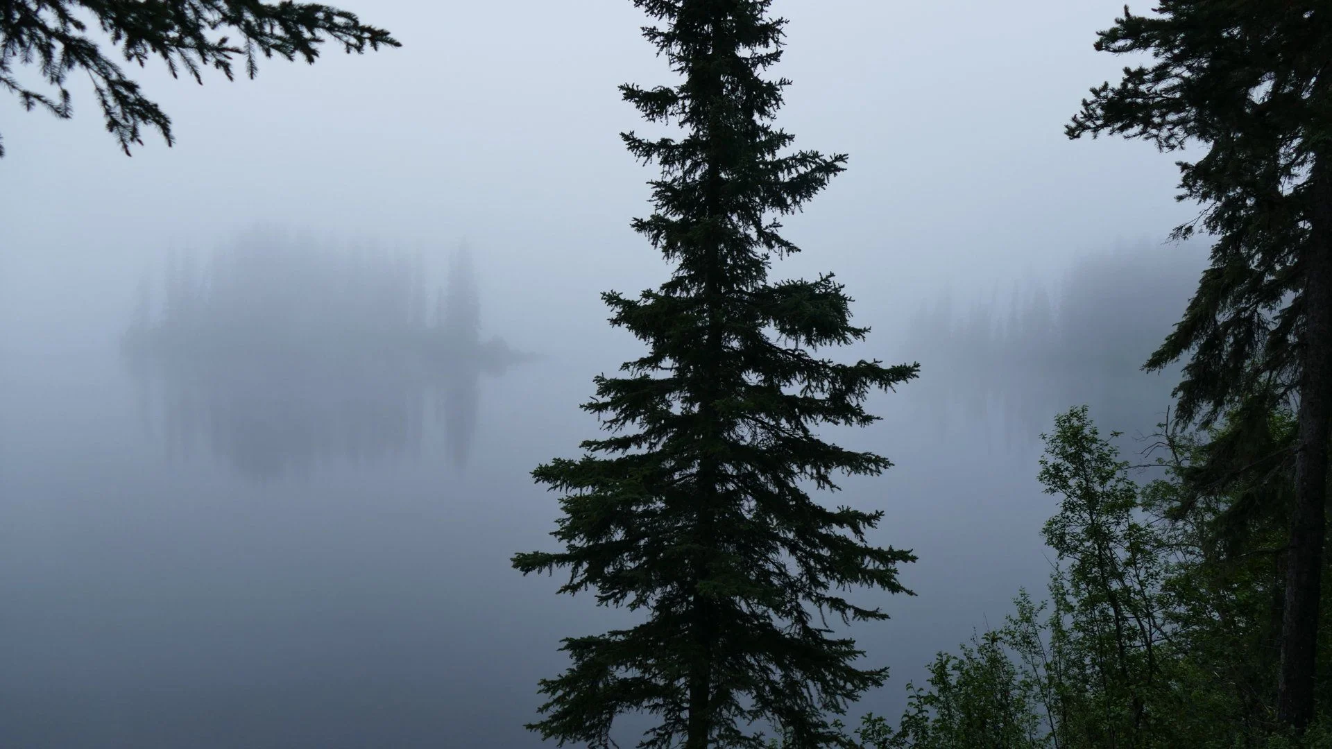 P1010225.webp
