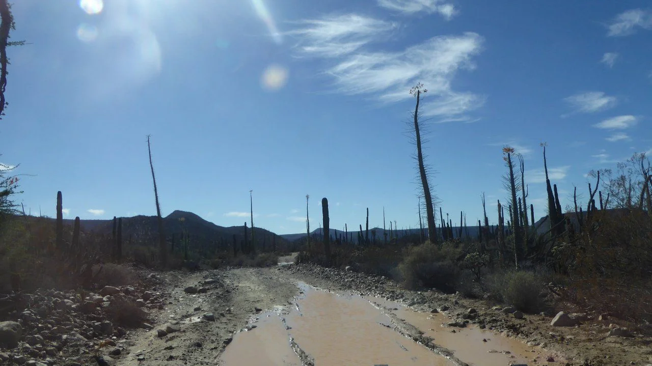 P1020157.JPG