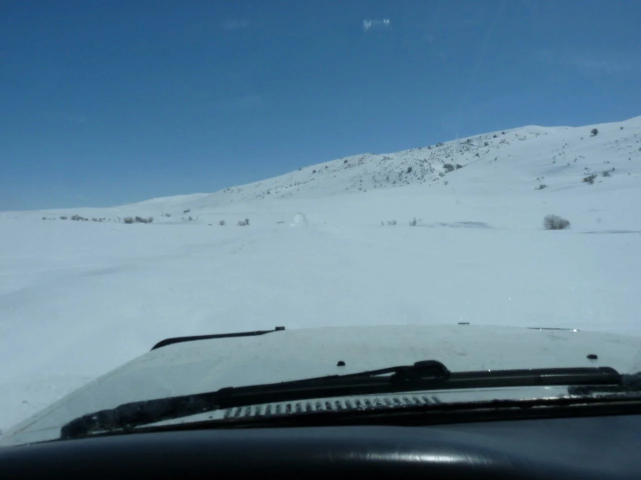 P1030256.webp