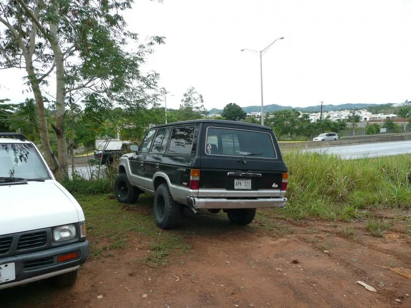 P1040864.webp