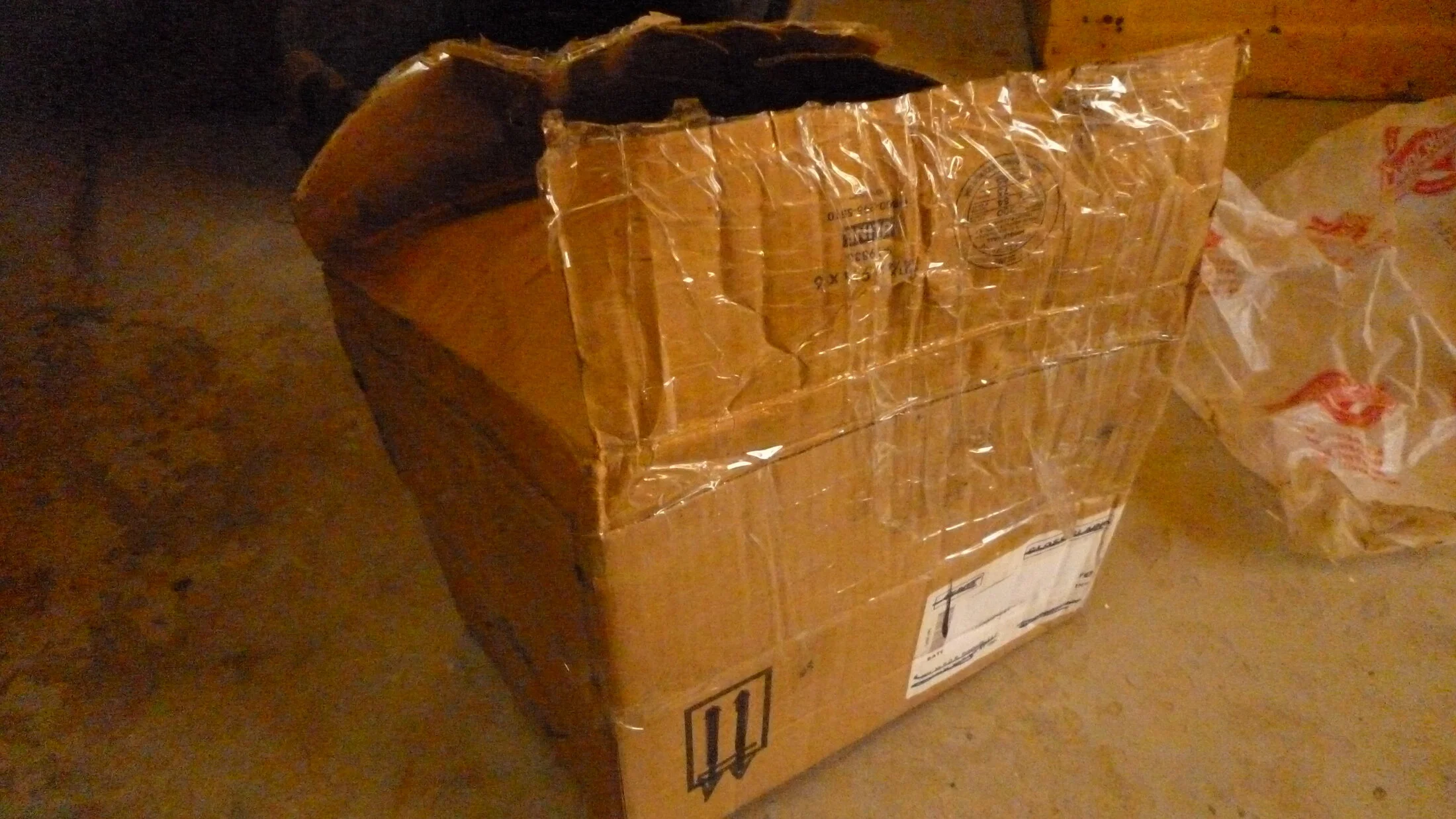 P1050008.JPG