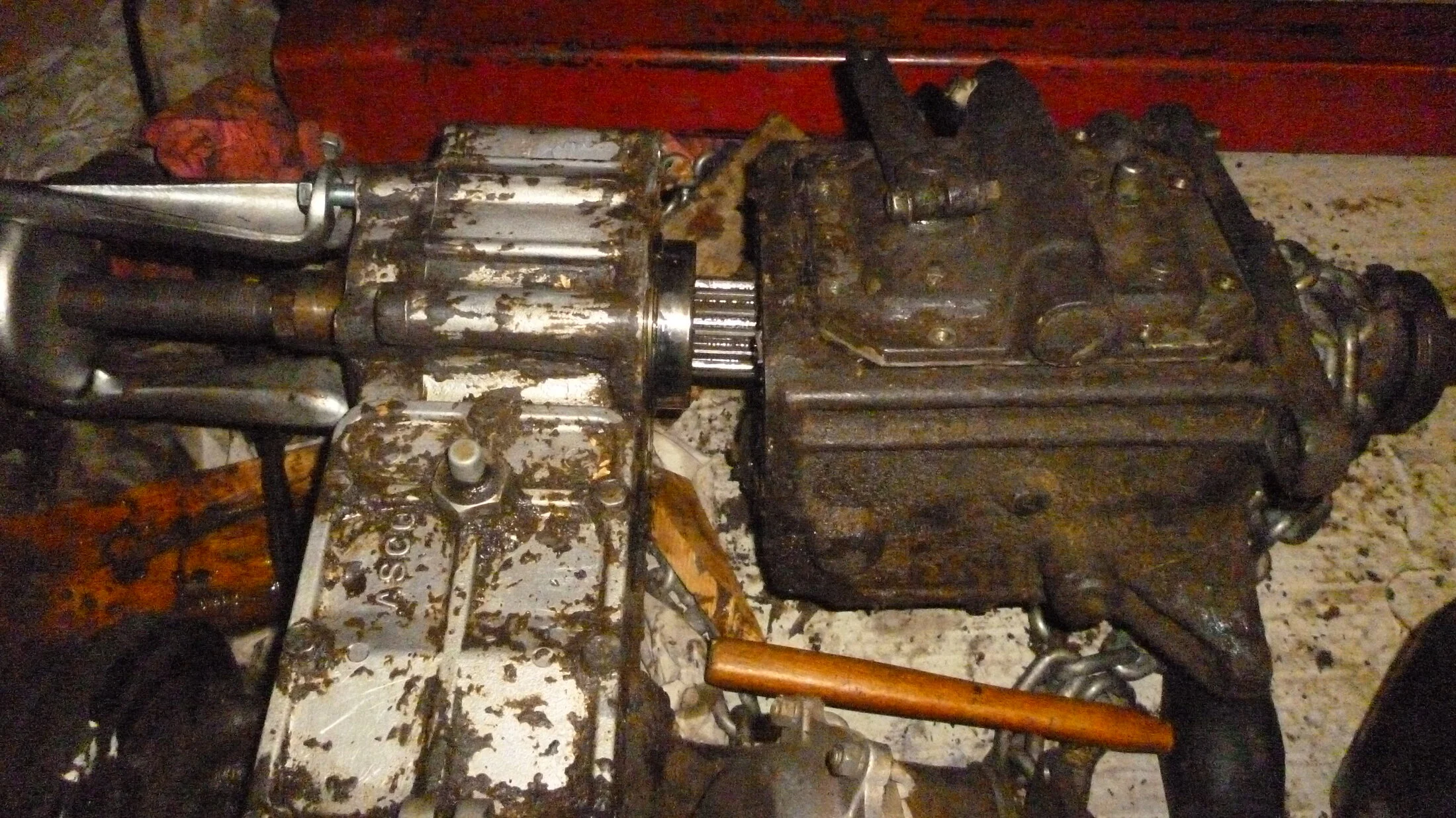 P1050020.JPG