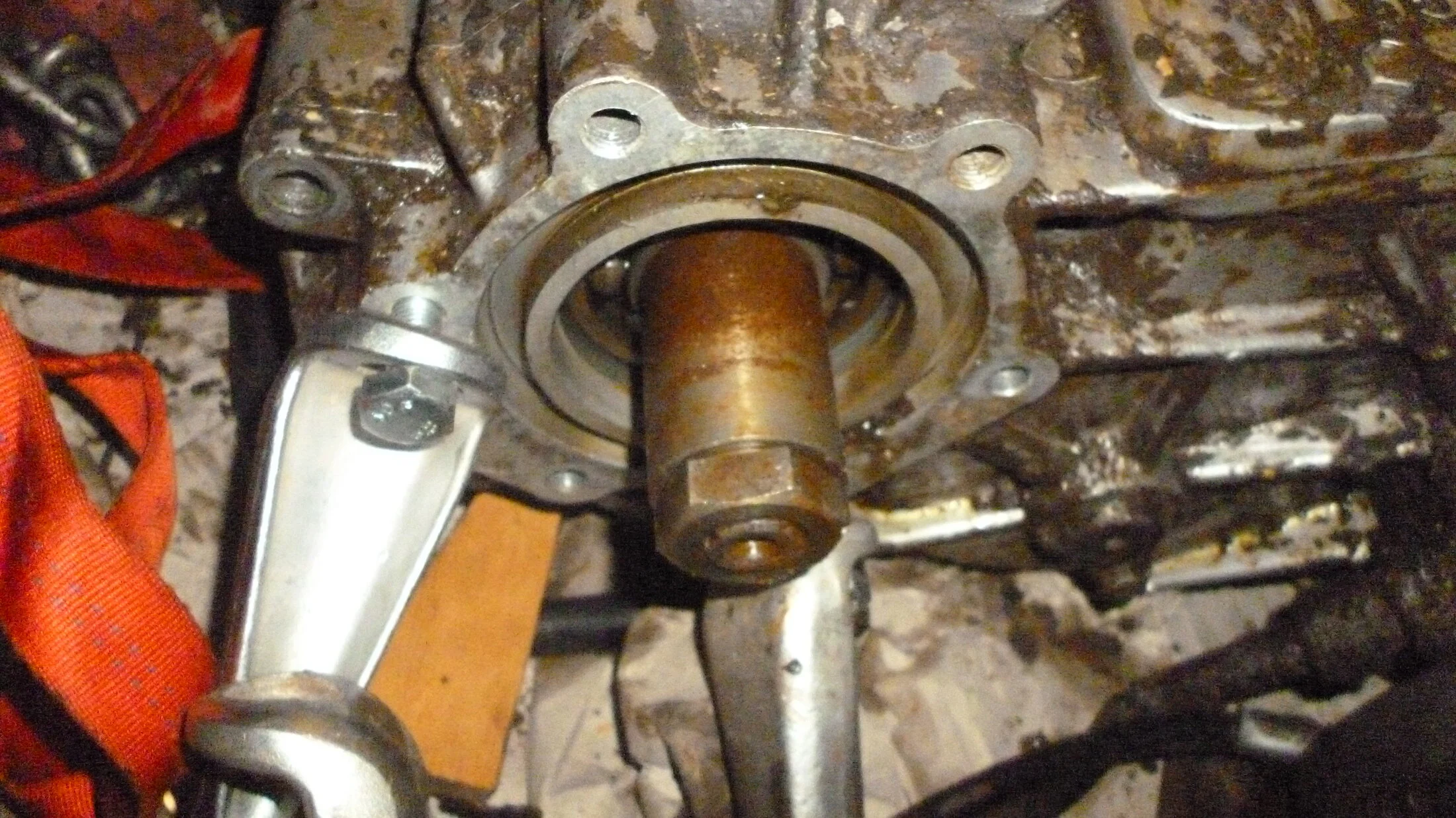 P1050022.JPG