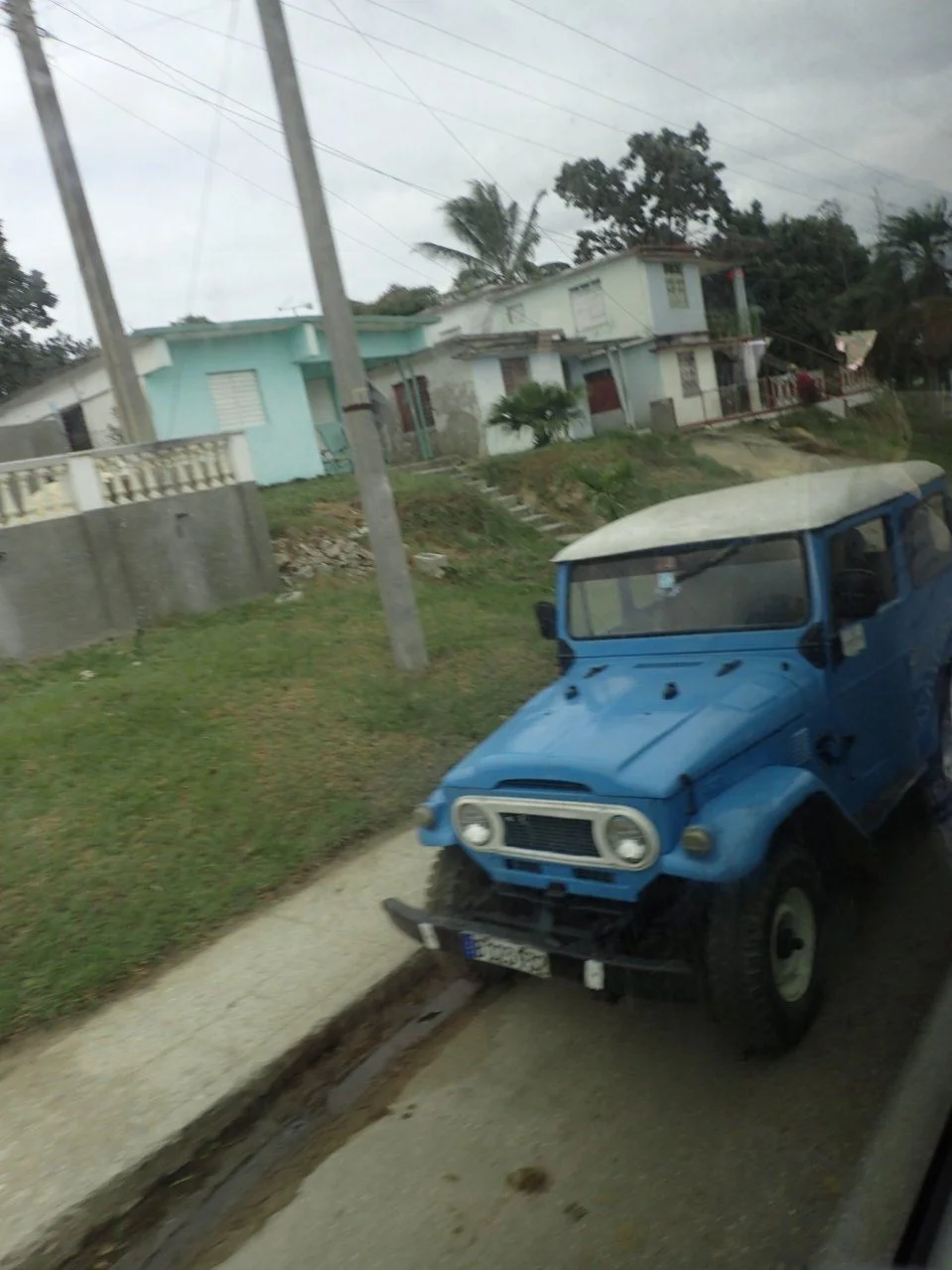 P1100369.webp