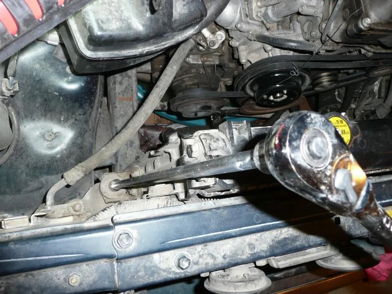 P1140021.webp
