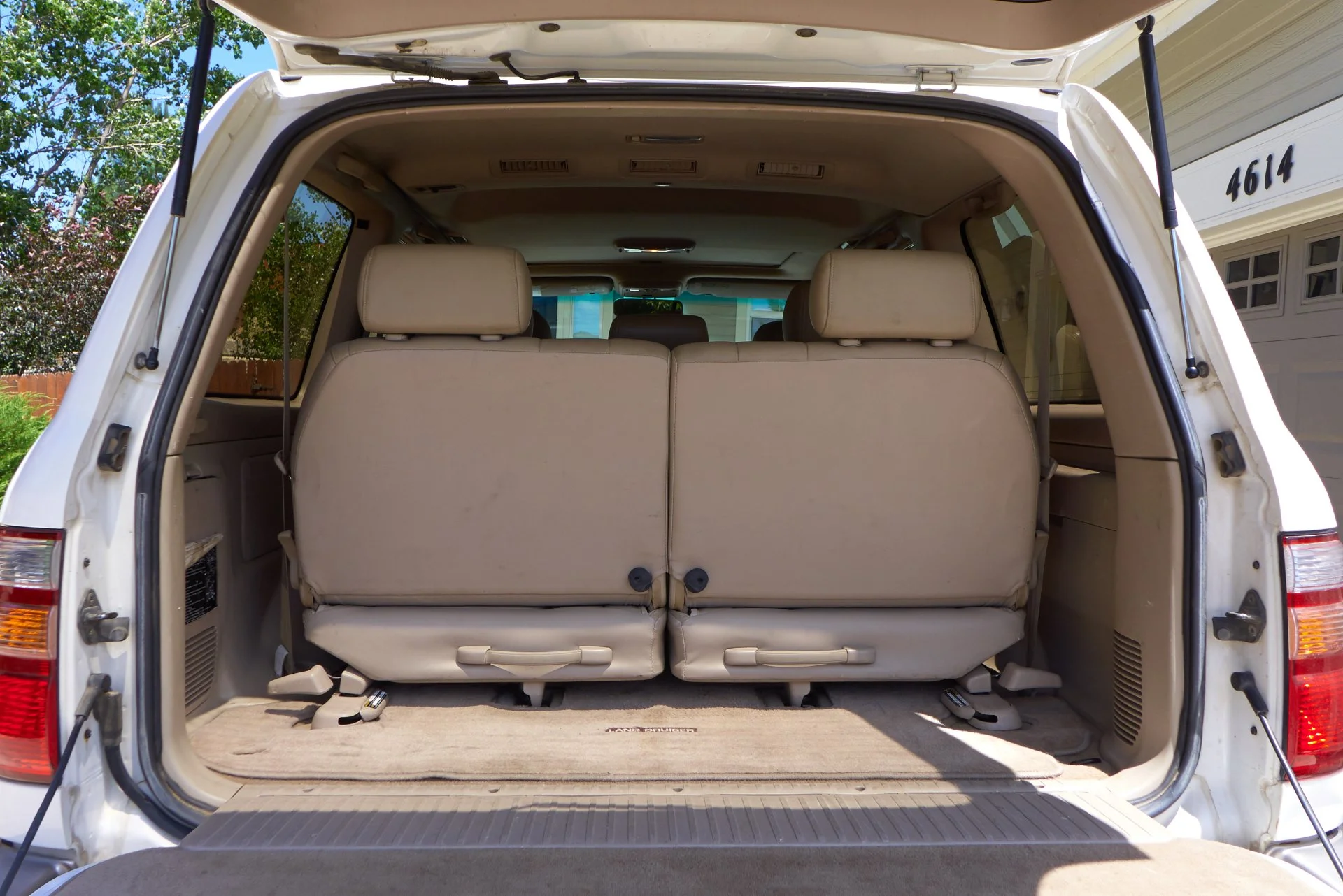 P1140858Export.webp
