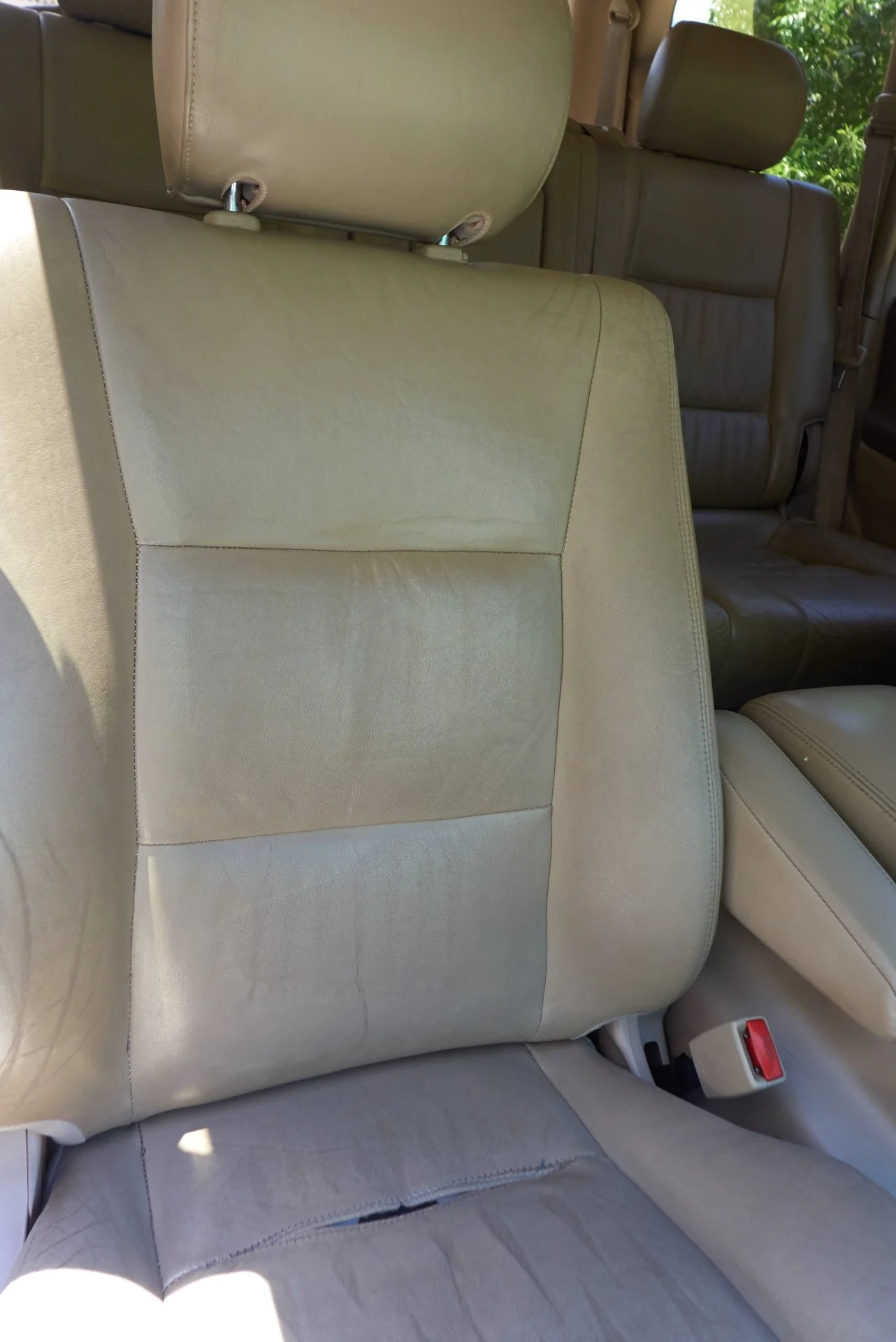 P1140874Export.webp
